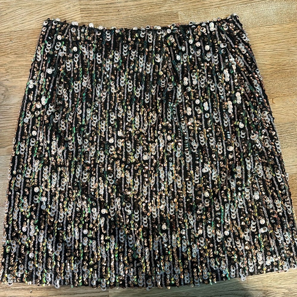 Sequin Skirt